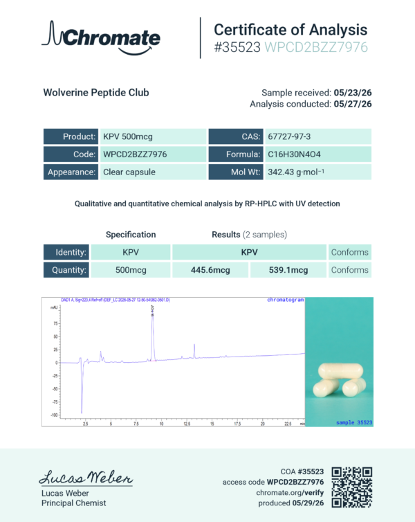 KPV 500mcg Capsules (30 Capsules)